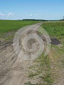 Country road between two fields stretching into the distance against a blue sky