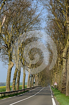 A country road in Val d Oise