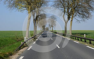 Country road in Val d Oise