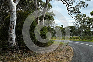 Country road in a valley, Australia