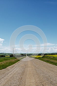 Country road and vibrant yellow canola fields in rural Manitoba, Canada