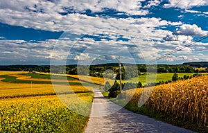 Country road and view of rolling hills near Cross Roads, Pennsylvania.