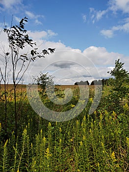 Country Road in Waterloo Region