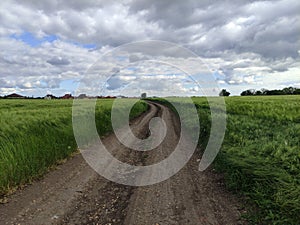 Country road through wheat fields and clouds in sky