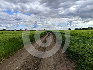 Country road through wheat fields and clouds in sky