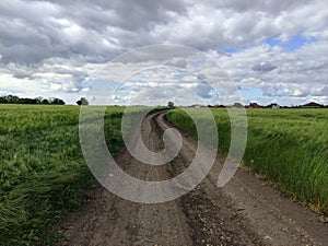 Country road through wheat fields and clouds in sky