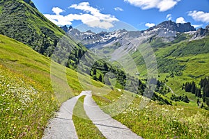 Country road through wildflower meadow, view to Gafiertal valley, near St. antonien grisons