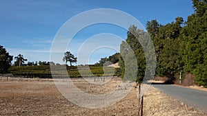 Country road winding through winery vineyard in Paso Robles California USA