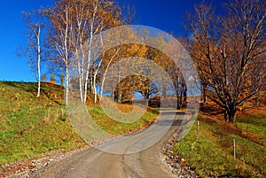 A country road winds past autumn foliage