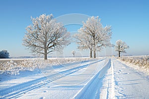 Country road in winter frost