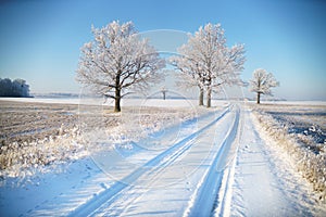 Country road in winter frost