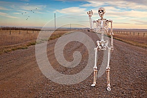 Country Roads Skeleton