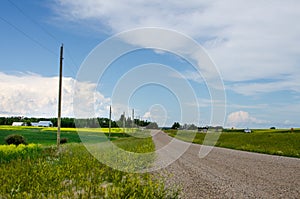Country roads and vibrant yellow canola fields in rural Manitoba, Canada photo
