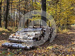 Country rural route - autumn time