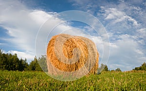 Country scene with single hay roll bale in field against cloudy sky during sunny summer day, cattle fodder over winter time