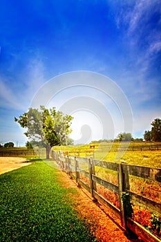 Country Scenery
