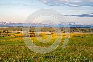 Country Scenes from Southern Alberta