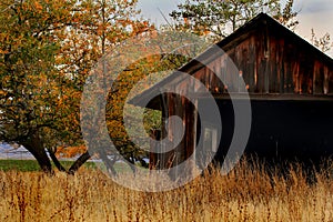 A Country Shed in Autumn