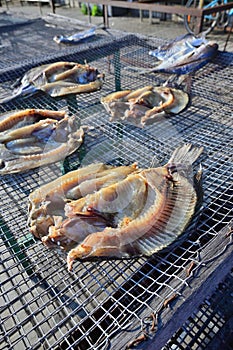 Country side Dry fish in mesh tray