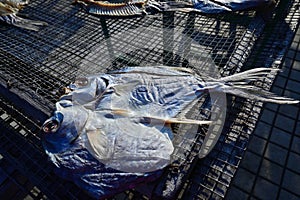 Country side Dry fish in mesh tray