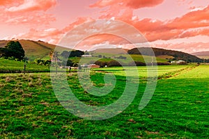 Country side landscape in Otway National Park