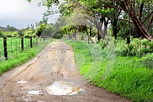 Country side landscape with rural dirt road after the rain