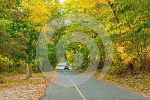 Country side road