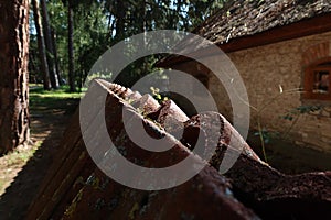 Country side views at the south of Moscow region Polenovo_ 3