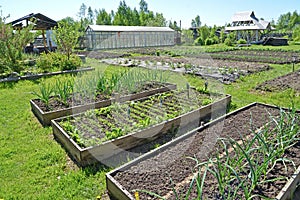 The country site with a kitchen garden and the greenhouse in the spring