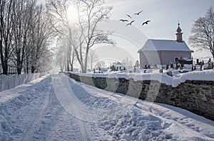 Country Snow trees,birds,capel