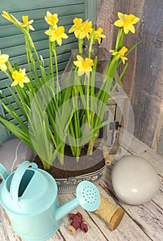 Country still-life with flowers