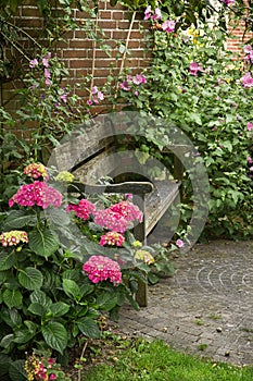 Country-style garden with bench photo