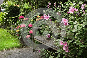 Country-style garden with bench photo