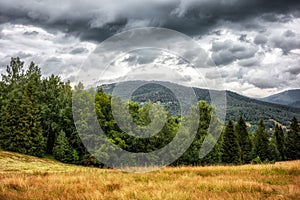 Country with trees and stormy clouds on the dark sky