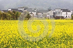 Country view in Wuyuan photo