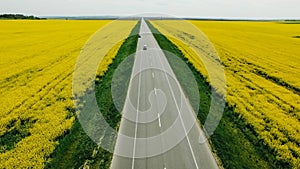 Country, way on spring field of yellow rapes flowers, rape. Blue sunny sky with clouds. Landscape backgrounds. Ukraine, Europe.