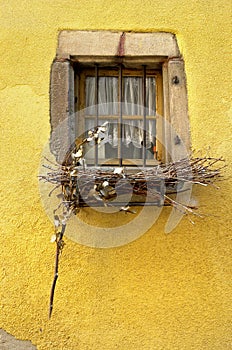 Country window