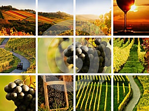 Country wine collage