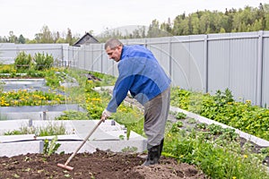 Country of work. At the dacha, a man cultivates the land for planting.