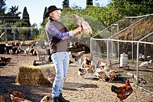 Countryman holding brown chicken in hands in hen house