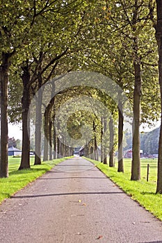 Countryroad in the Netherlands