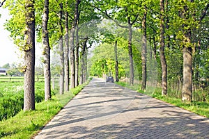 Countryroad in Netherlands photo