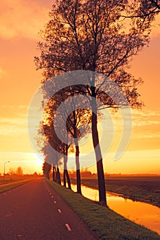 Countryroad in Netherlands by twilight photo