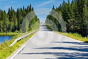 Countryroad though a typical landscape in Finland with trees and