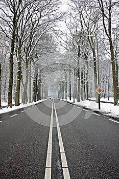 Countryroad in wintertime photo