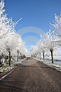 Countryroad in wintertime