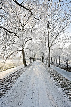 Countryroad in wintertime
