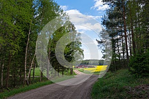 Countryroad with yellow rapefields photo