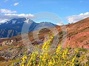 Countryside in the Andes