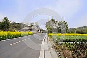 Countryside asphalted road in flowering spring afternoon